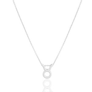 SILVER Zodiac Necklaces - ALL Signs Available